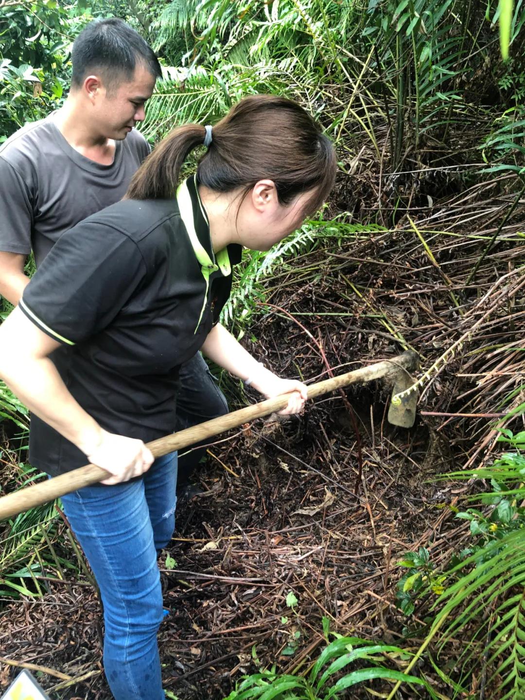 纯手工熬制甜品,匠心手作甜品