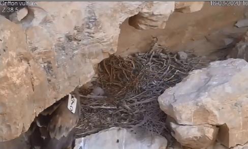 终于来了！郑州无人驾驶公交开通，免费乘坐；重磅！今起河南6城发消费券丨大河早新闻（语音版）