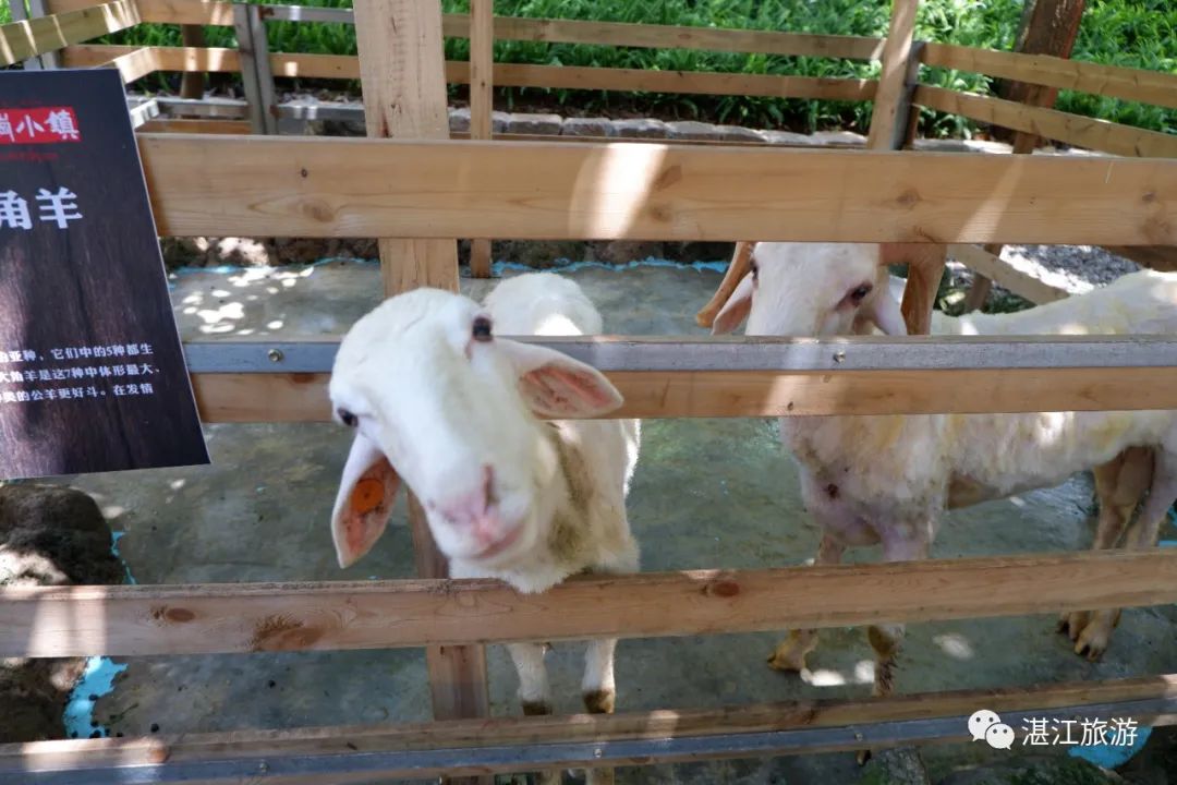 泡温泉爬山休闲的好去处,泡温泉沙雕