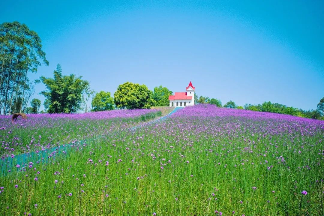 成都彭镇老茶馆,成都彭镇老茶馆打卡地点