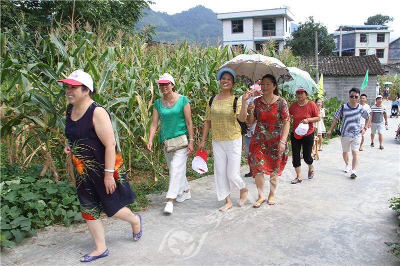 本周六，秀山融媒体中心邀您去维刚黄桃园吃黄桃