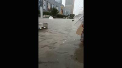 狂风巨浪，多地被淹！“黑格比”登陆了→
