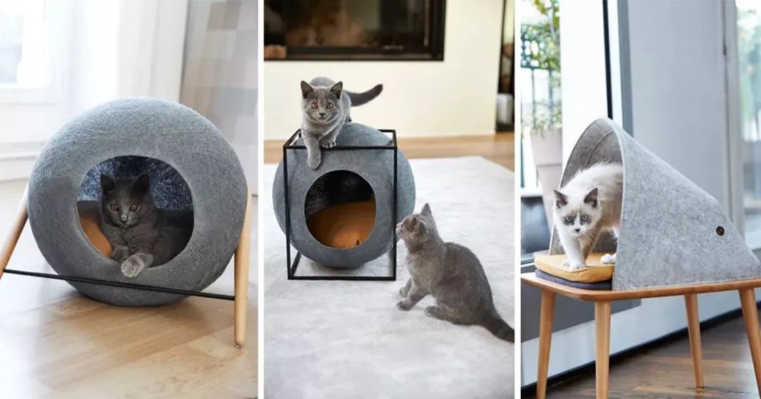 云养猫的品牌有哪些,云养猫设计品牌