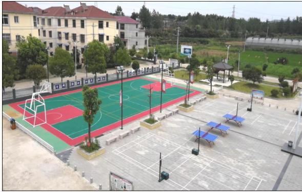 体育访谈,体育强省看广东