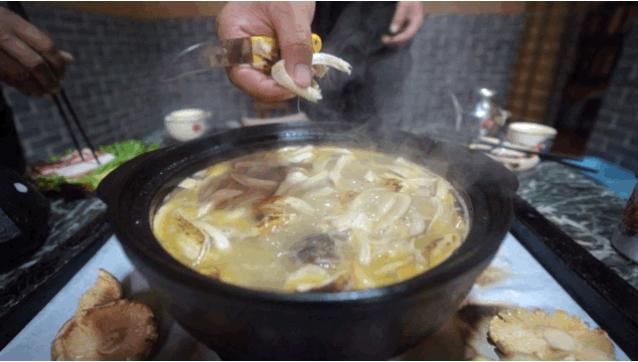 松茸比普通菌类贵多少,最好的松茸是哪里的