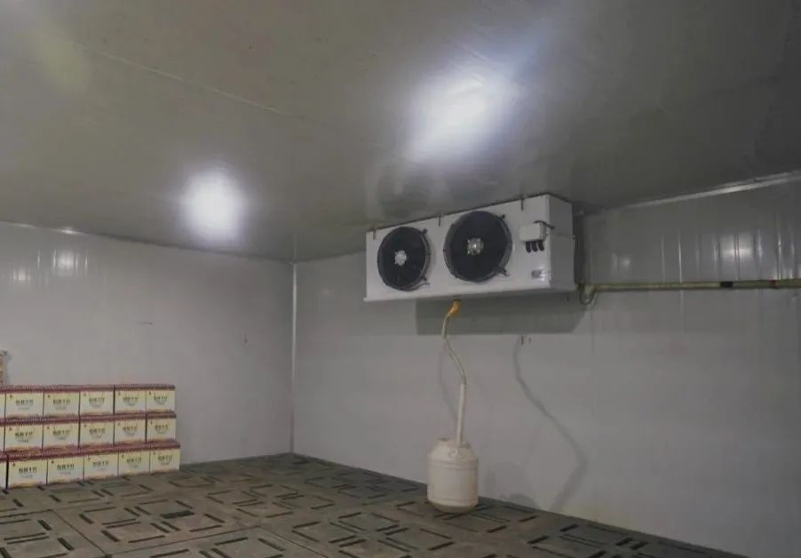 松茸比普通菌类贵多少,最好的松茸是哪里的