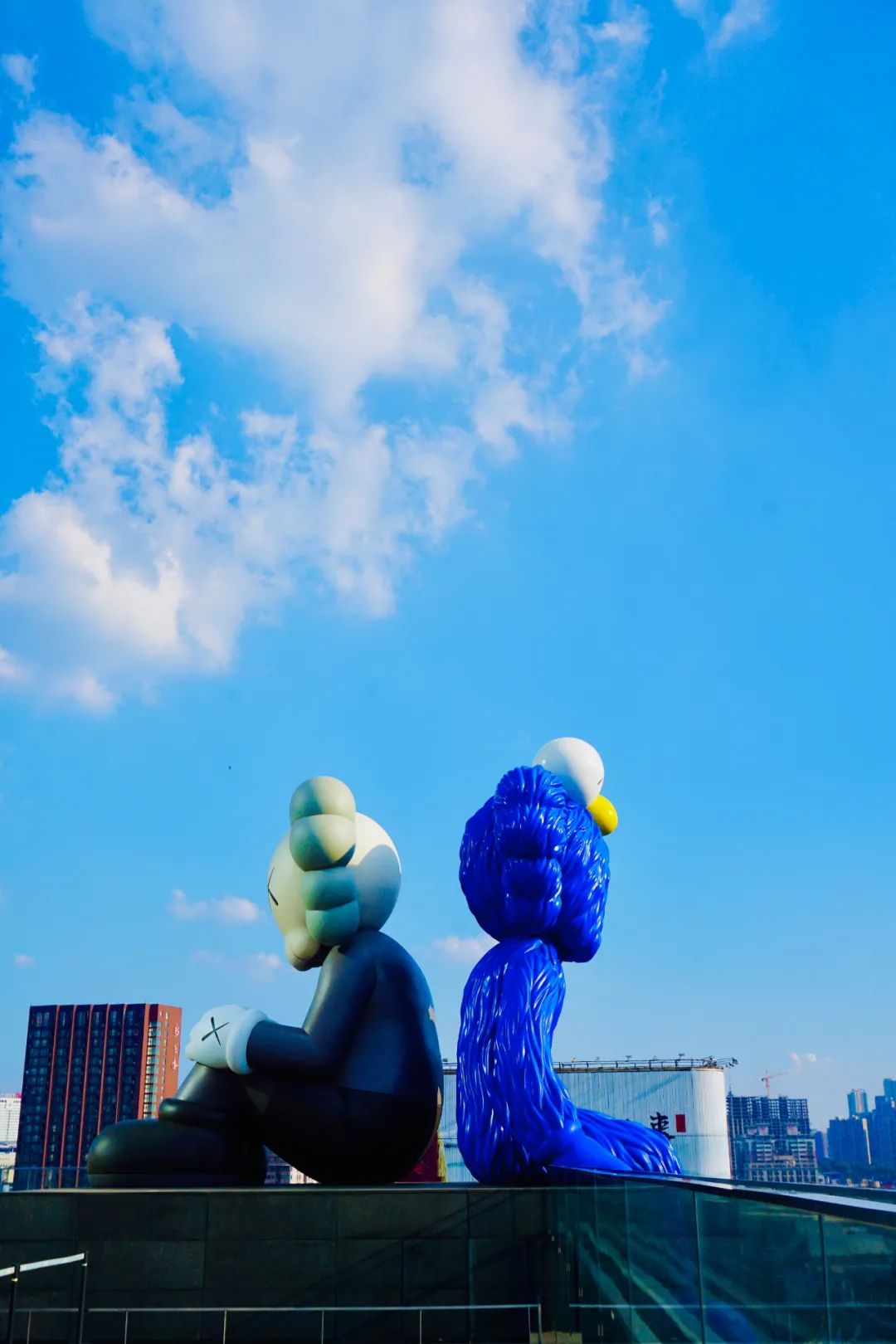 缇庡憜鑻辨枃,缇庡憜