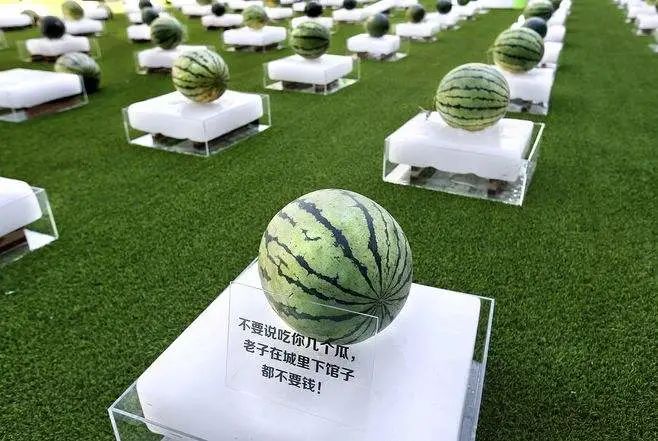 玉环头闻丨西瓜免费吃！免费送！吾悦这是什么惊天福利