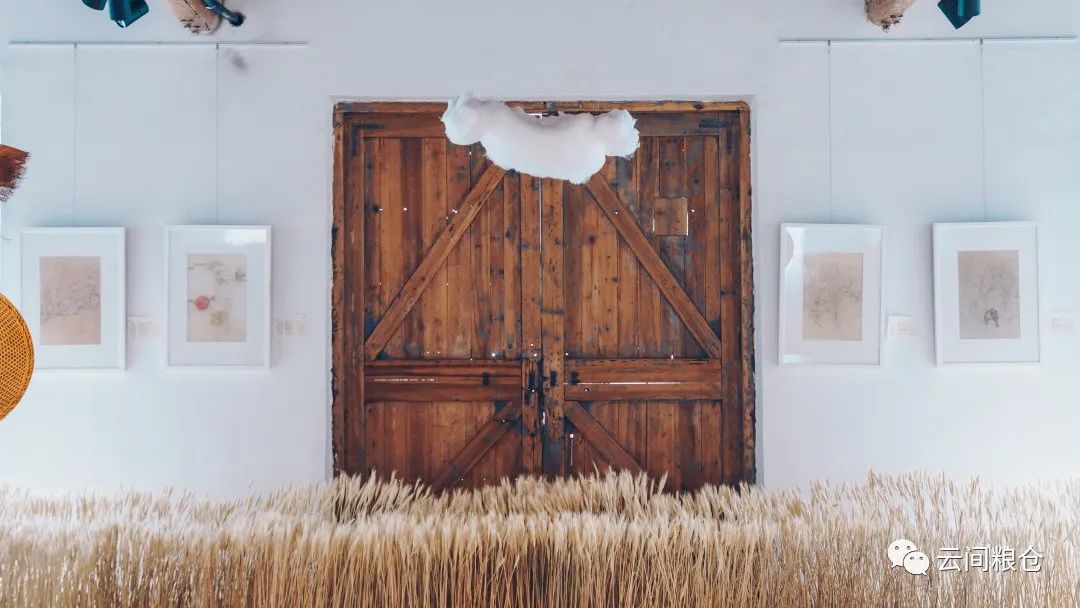 上海松江足球公园,篮球场绿茵场