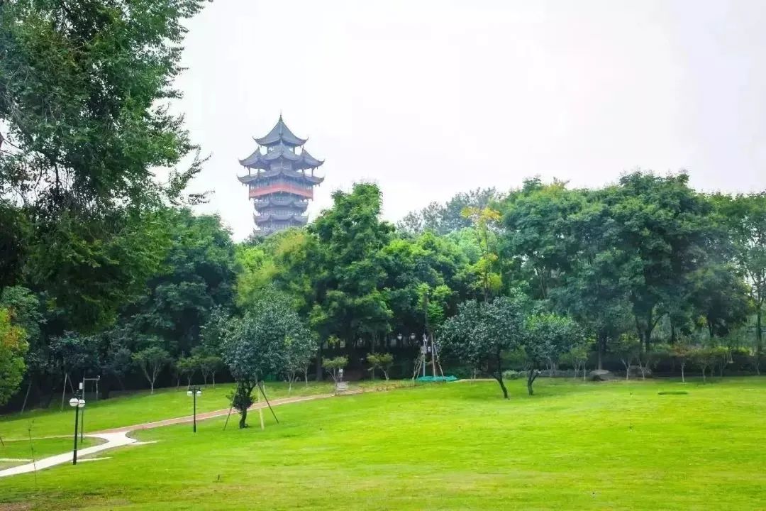 成都免费游玩景点推荐,成都景点免费门票一览表