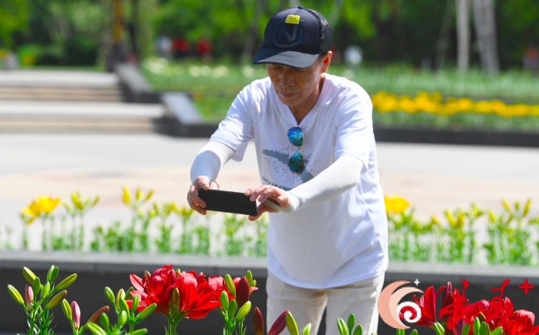 长春最佳百花园赏花季节,长春有什么好看的花海