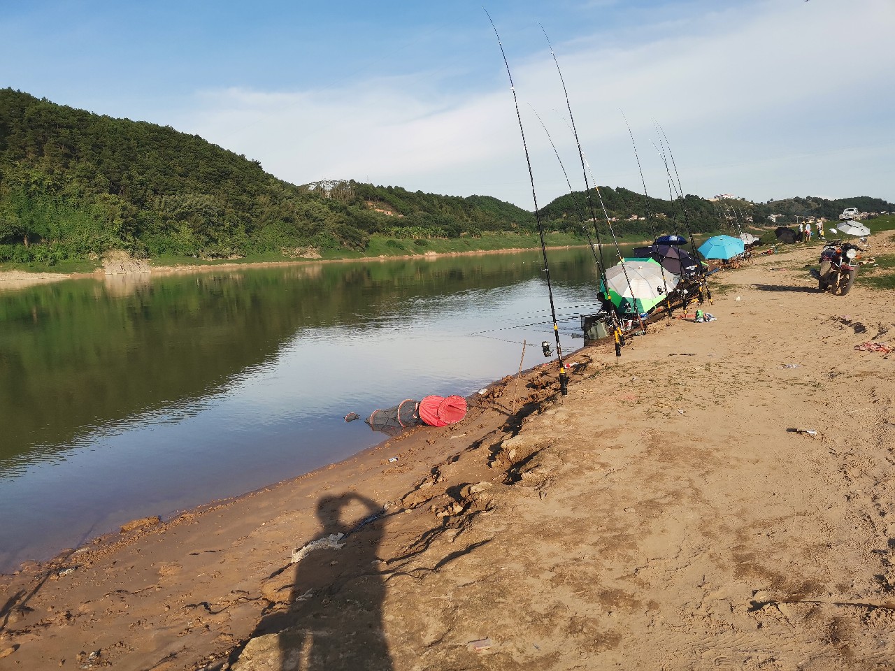 桂江野钓土鲮,广西桂江土鲮