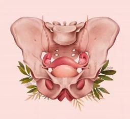 28岁就穿上了尿不湿？控制不住、打喷嚏时或无知觉漏尿，中医有办法！【手护脊柱】