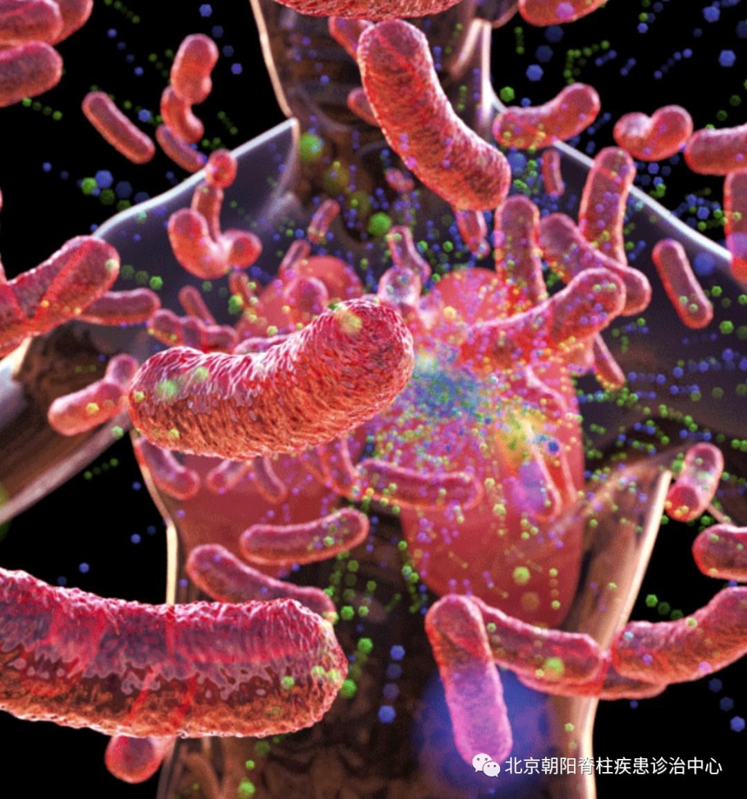 腰痛来龙去脉,腰疼真相