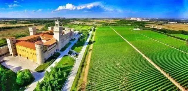 张裕瑞那城堡酒庄葡萄的酿制过程,咸阳张裕瑞那城堡酒庄体验酿酒