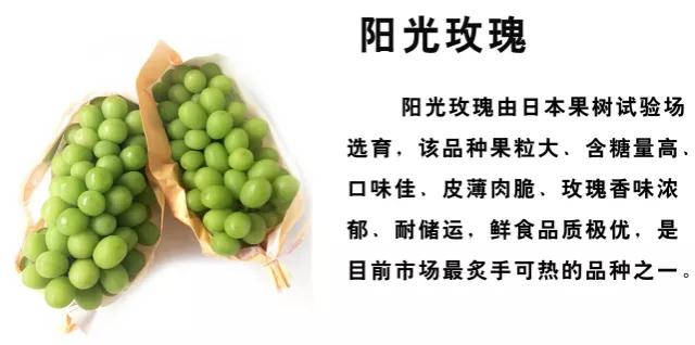 张裕瑞那城堡酒庄葡萄的酿制过程,咸阳张裕瑞那城堡酒庄体验酿酒