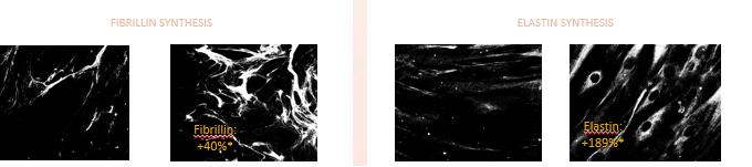 21天深度测评报告3.0升级版｜2020年第十三期