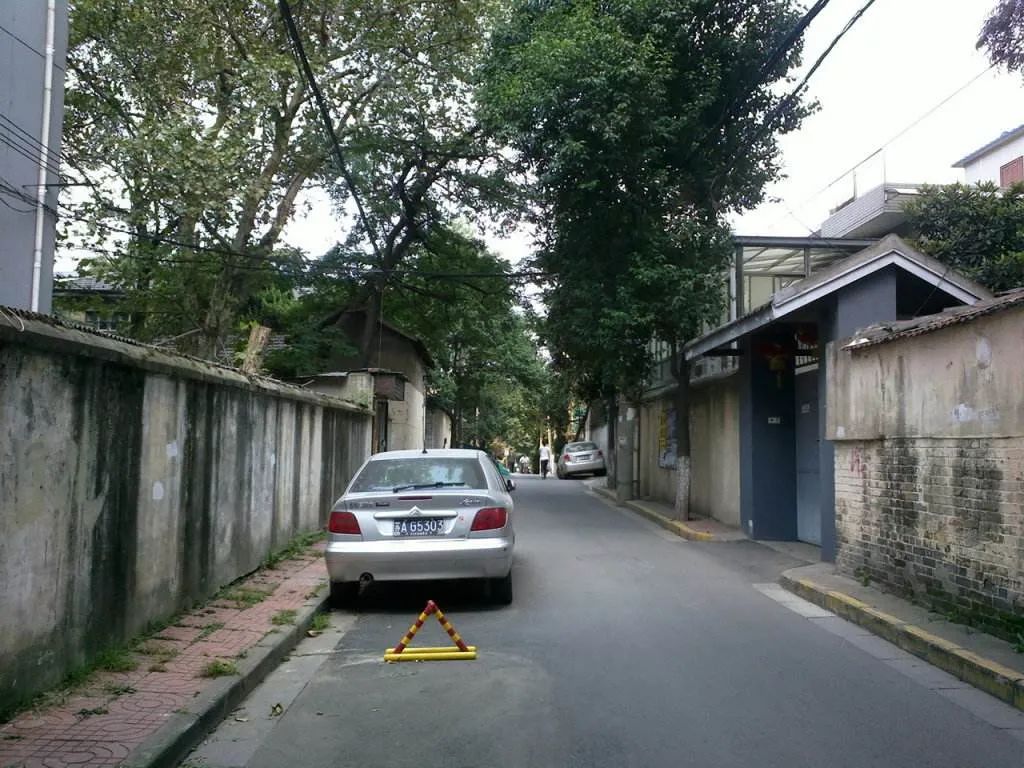 花木丛中人常在——章品镇与辛丰年