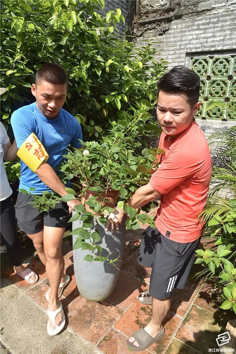 开门见假山鱼池,开门见室内花园