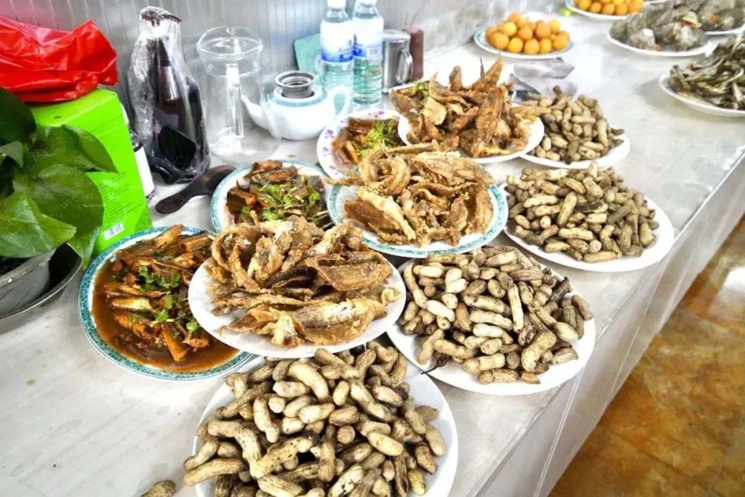 2020年美丽乡村青岛市,2023年青岛市美丽乡村项目