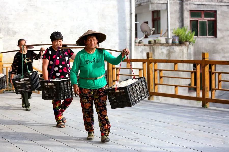 璐靛窞鍓戞渤鑻楀棣欑尓绉戞妧鏈夐檺鍏徃,璐靛窞榛斾笢鍗楀墤娌抽鐢ㄨ弻绉嶆鍩哄湴