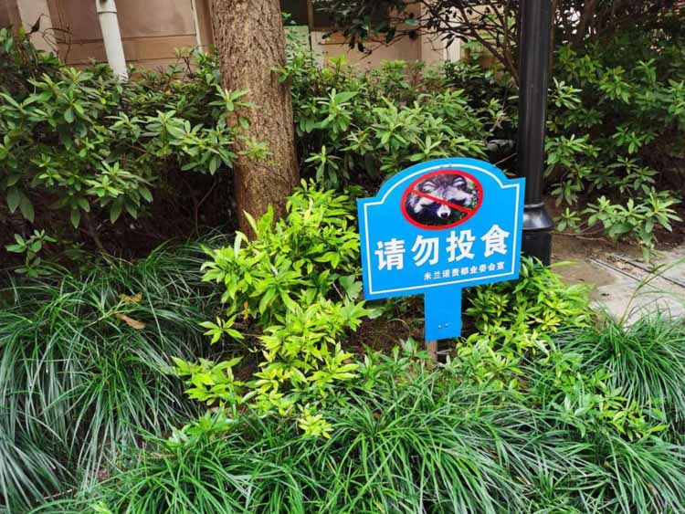 从人貉之争到人貉之和——城市野生动物应被投喂吗？