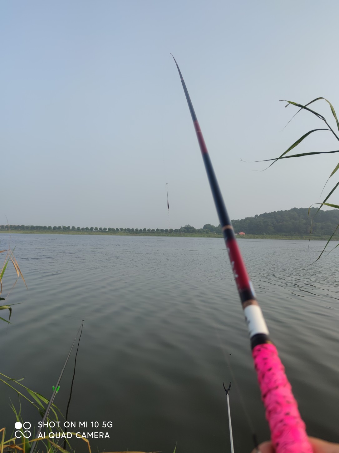 水底暗草多怎么解决,水底暗草多如何垂钓