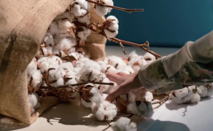 开云蔡金青最新消息,开云集团大中华区总裁蔡金青