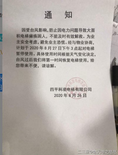 对抗“巴威”，他们竟然“拴”大树、电梯停运、连夜清理铁皮