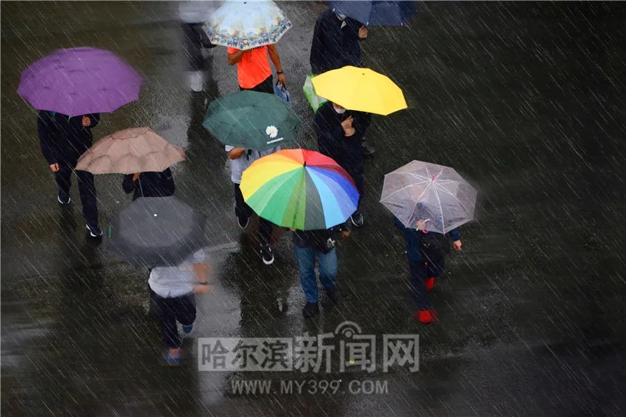 “巴威”到哈即“停编”，但是暴雨没完丨有站点累计降水量超70毫米