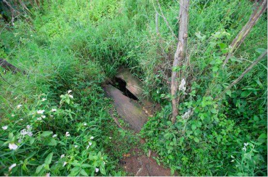 没见过比尔·盖茨强烈推荐的“美元街”，你都不知道自己活得多幸福