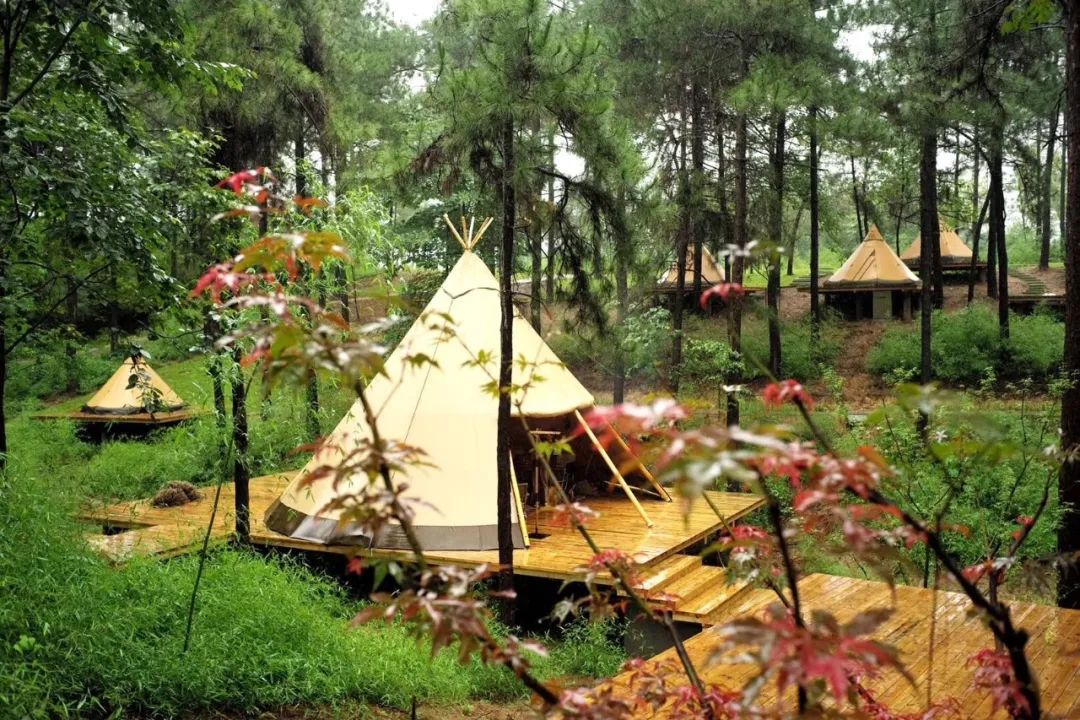 让我们一起去露营一起快乐,与你一起去露营