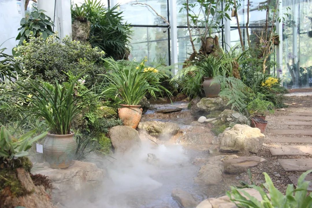 四川邛海旅游攻略必去景点,邛海泸山一日游先去哪里