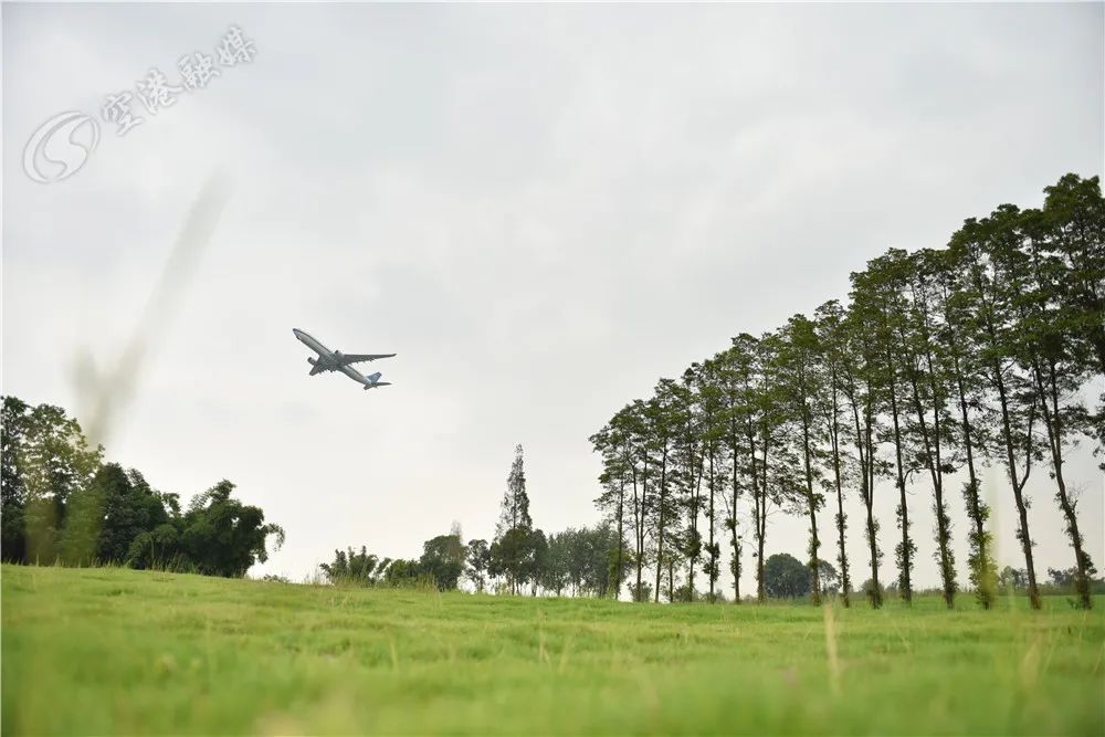 双流运动公园网红,双流运动公园网红打卡地