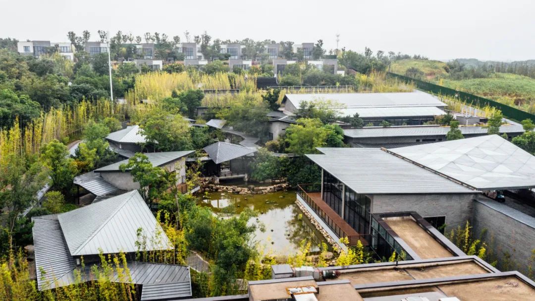 裸心泊民宿,苏州裸心泊酒店