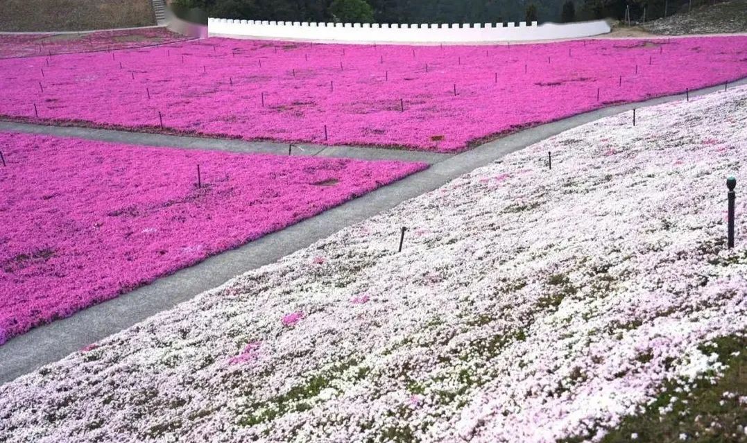 宁波横街网红打卡景点,宁波创意园网红打卡地点