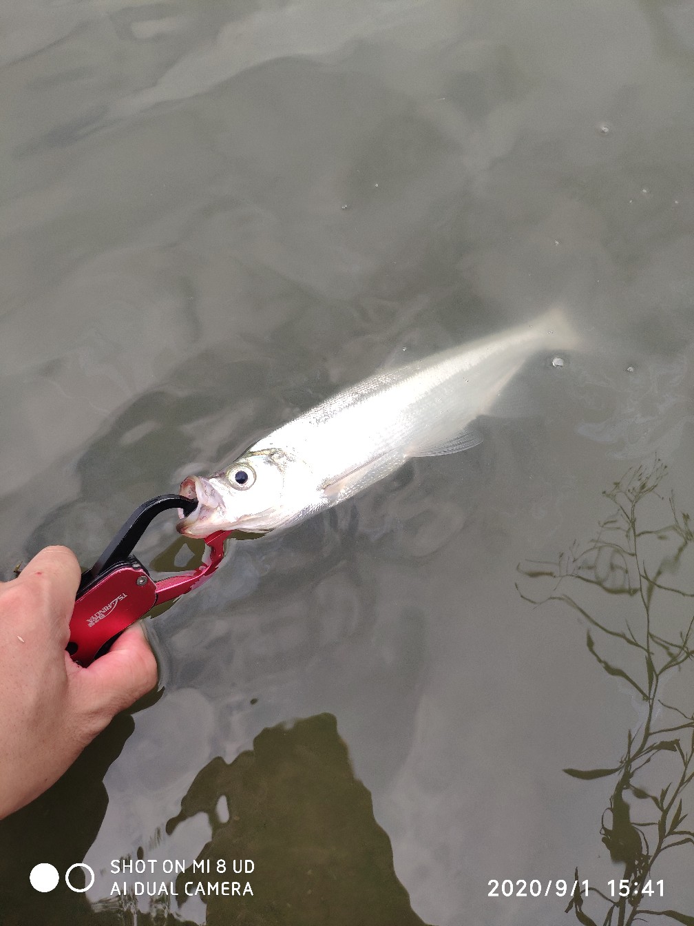 路亚铅头钩实用操作手法,路亚铅头钩零基础教学