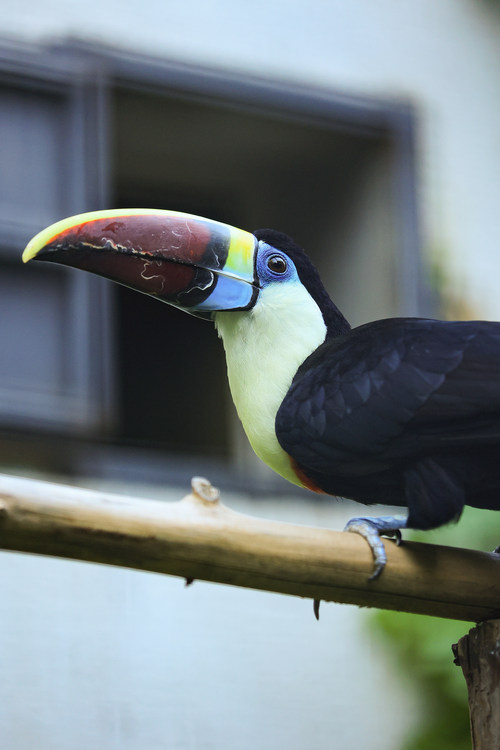 比肩eosr的相机,比佳能r6好的相机推荐