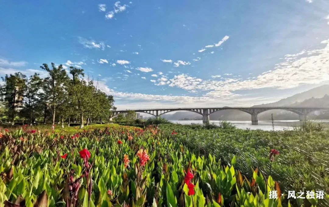 热爱家乡主题活动,热爱家乡展望未来的社会实践活动