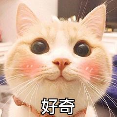 女子花三万买了一口价手镯,女子花了三百块买了一只黄金手镯