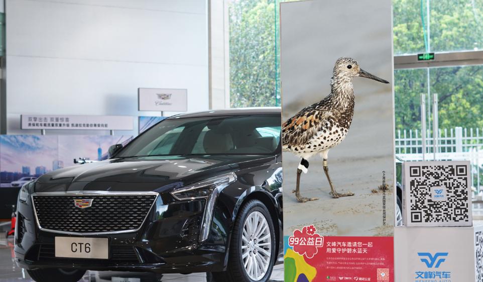 99公益伙伴日,99公益日温暖世界