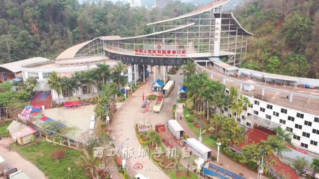 磨憨口岸水果进口情况,水果出口行情