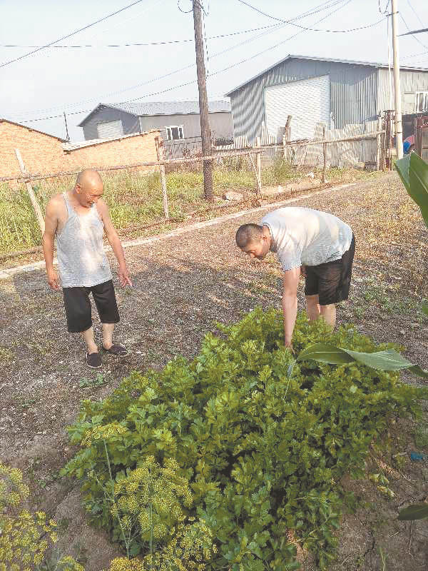 洪胜村,红德村扶贫故事
