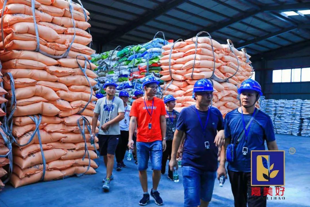 打造国际海藻品牌，广东嘉美好开启“美好”时代