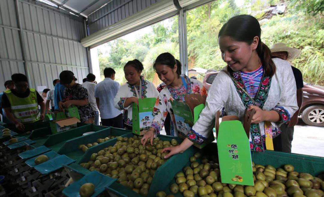 鏌冲窞甯傜綉缁滄壎璐姇绁ㄥ摢瀹跺ソ,鏌冲窞甯傜綉缁滄壎璐摢瀹跺己