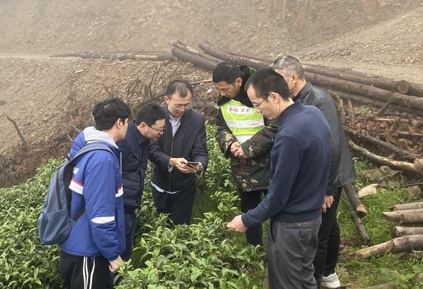 柳州市网络扶贫哪家强？请您来参加有奖投票