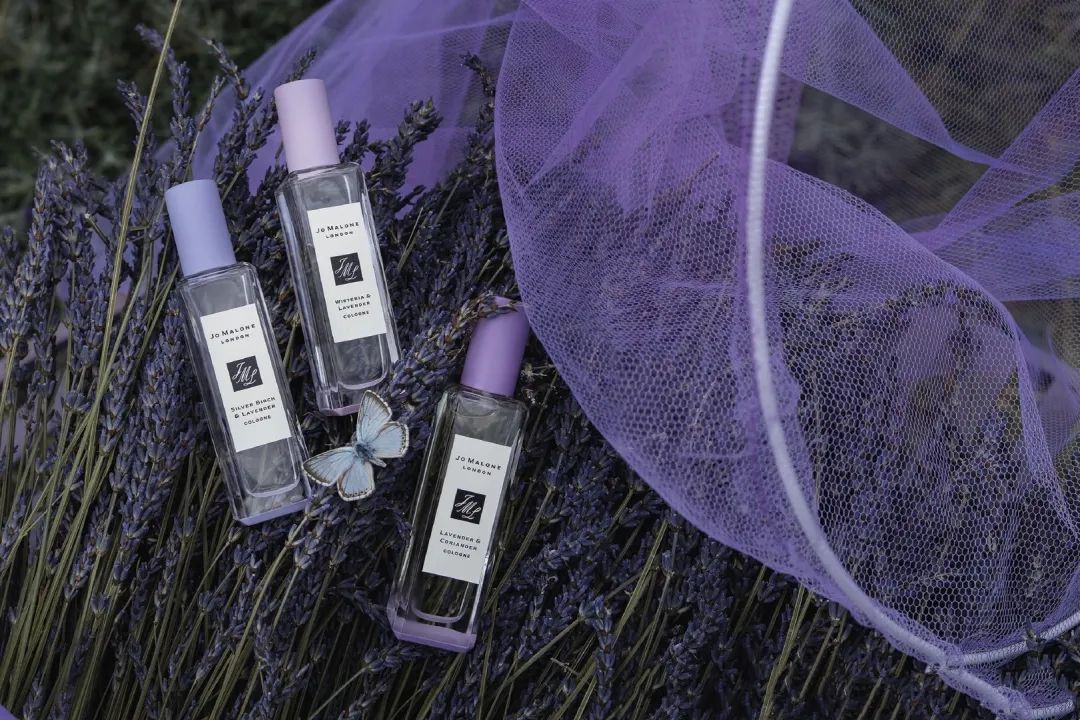 傻脸娜组合,傻脸娜官宣的有几个