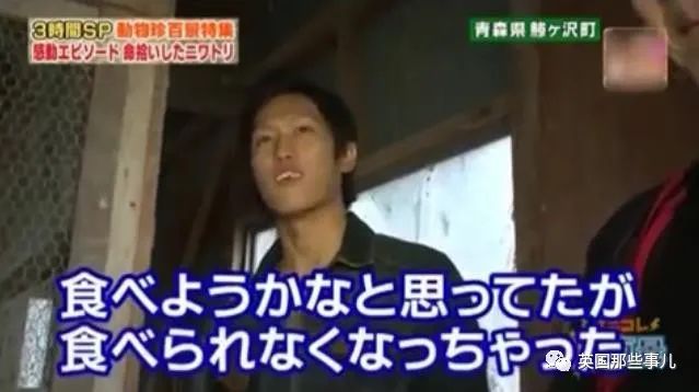 大爷养鸡为吃肉，但却不忍杀鸡。这背后秘密，莫名奇妙可爱