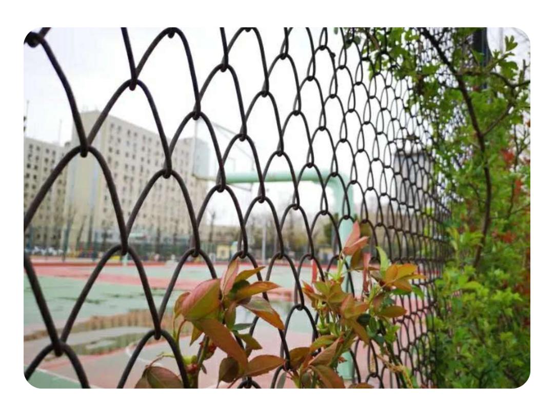 一周早报|快来“回到校园2020美术新作展”寻找艺术与美