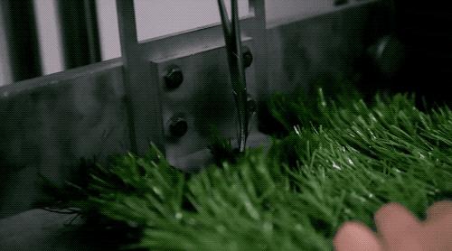 怎样种草皮有几种方法,以假乱真的草坪